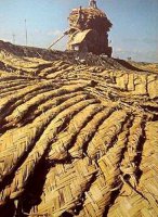 Reed mats